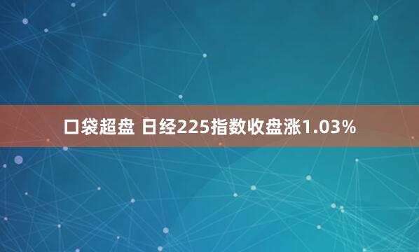 口袋超盘 日经225指数收盘涨1.03%