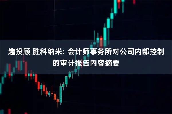 趣投顾 胜科纳米: 会计师事务所对公司内部控制的审计报告内容摘要